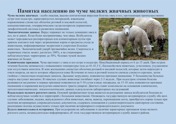 Памятки по болезням домашних животных