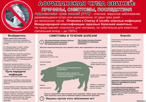 Памятка по АЧС