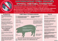 Памятка по АЧС